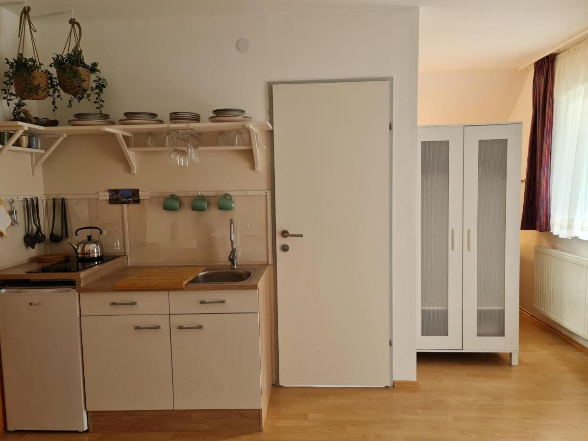 Landhaus Hallstatt Feeling - Apartment - Self Check-In Бад Гойзерн Екстериор снимка