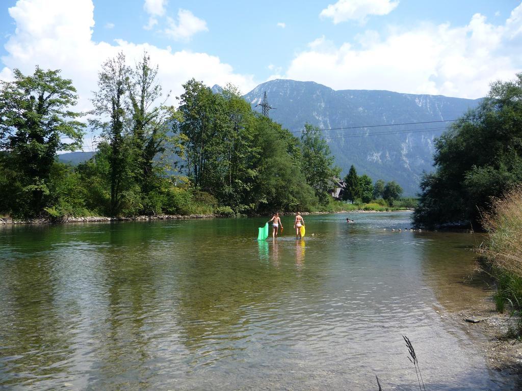 Landhaus Hallstatt Feeling - Apartment - Self Check-In Бад Гойзерн Екстериор снимка