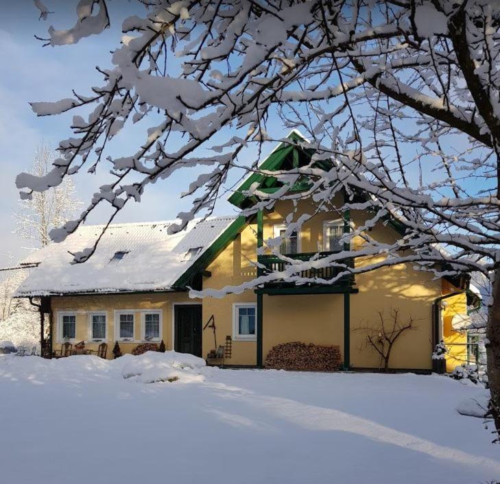 Landhaus Hallstatt Feeling - Apartment - Self Check-In Бад Гойзерн Екстериор снимка